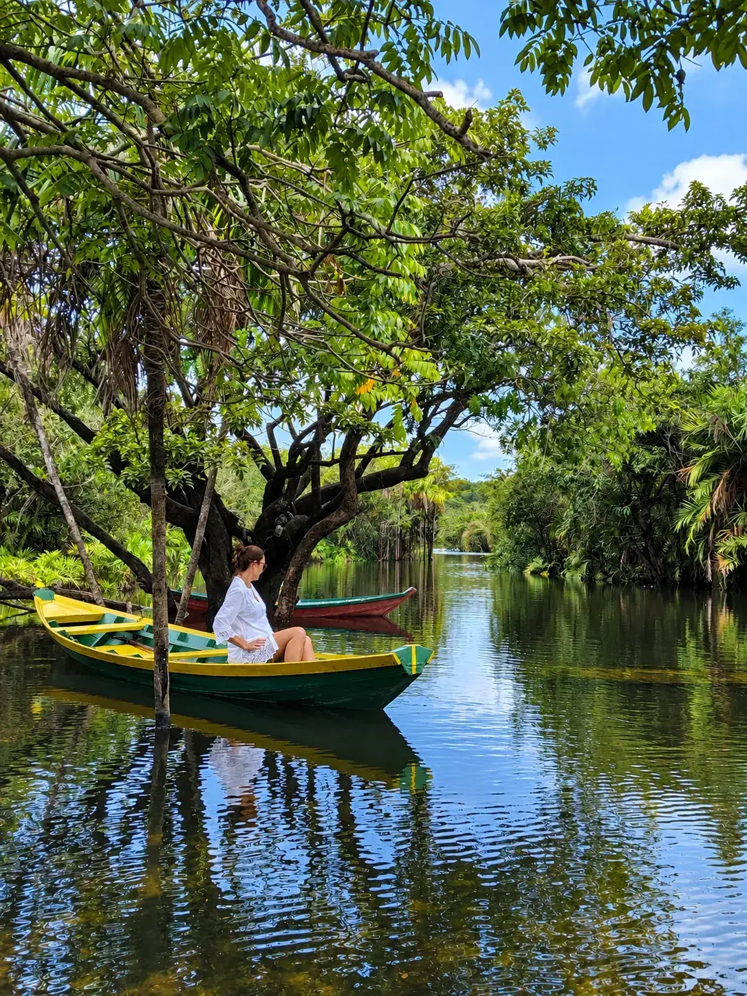 Floresta Encantada
